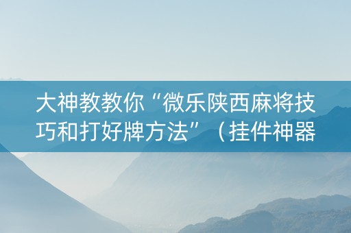 大神教教你“微乐陕西麻将技巧和打好牌方法”（挂件神器)