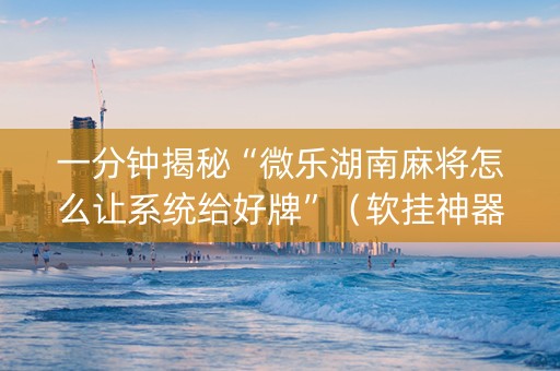 一分钟揭秘“微乐湖南麻将怎么让系统给好牌”（软挂神器)