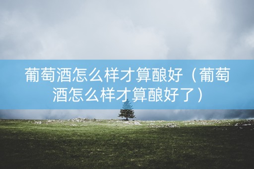 葡萄酒怎么样才算酿好（葡萄酒怎么样才算酿好了）