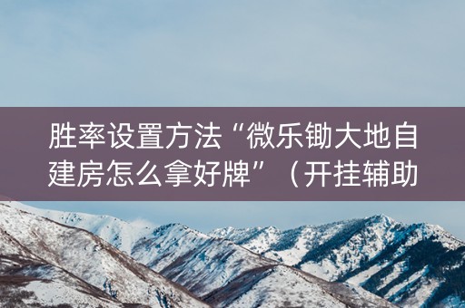 胜率设置方法“微乐锄大地自建房怎么拿好牌”（开挂辅助器插件)