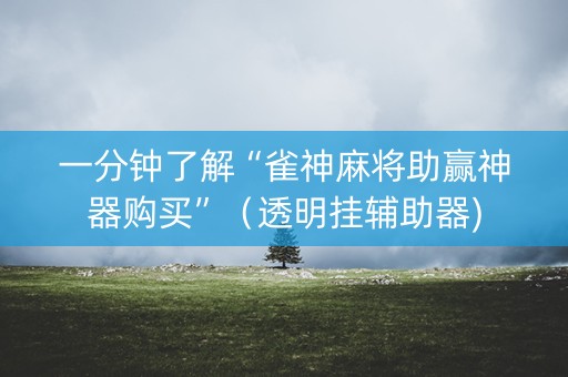 一分钟了解“雀神麻将助赢神器购买”（透明挂辅助器)