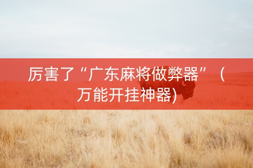 厉害了“广东麻将做弊器”（万能开挂神器)