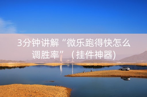 3分钟讲解“微乐跑得快怎么调胜率”（挂件神器)