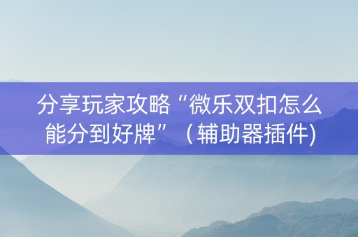 分享玩家攻略“微乐双扣怎么能分到好牌”（辅助器插件)