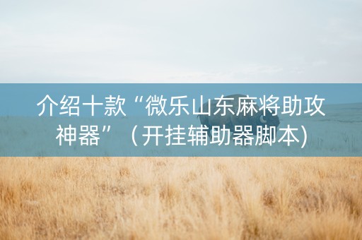介绍十款“微乐山东麻将助攻神器”（开挂辅助器脚本)