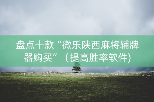 盘点十款“微乐陕西麻将辅牌器购买”（提高胜率软件)