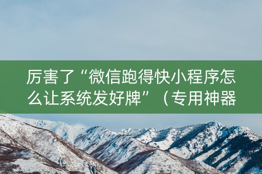 厉害了“微信跑得快小程序怎么让系统发好牌”（专用神器下载)