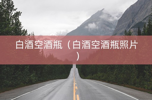 白酒空酒瓶（白酒空酒瓶照片）