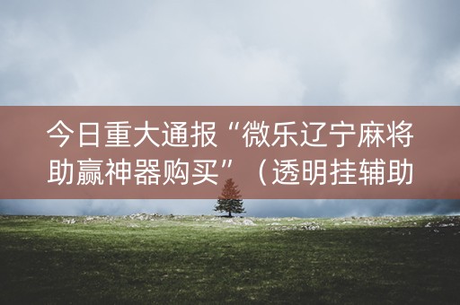 今日重大通报“微乐辽宁麻将助赢神器购买”（透明挂辅助器)