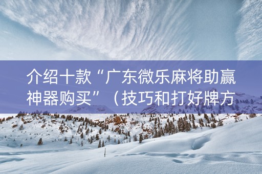 介绍十款“广东微乐麻将助赢神器购买”（技巧和打好牌方法)
