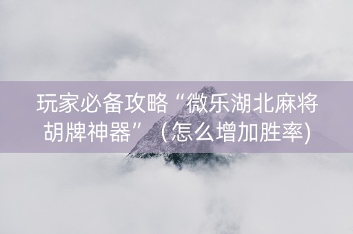 玩家必备攻略“微乐湖北麻将胡牌神器”（怎么增加胜率)