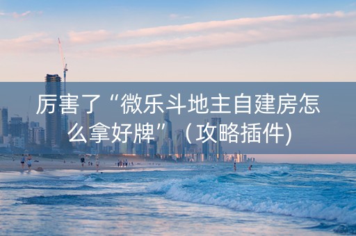 厉害了“微乐斗地主自建房怎么拿好牌”（攻略插件)