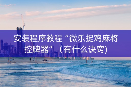安装程序教程“微乐捉鸡麻将控牌器”（有什么诀窍)