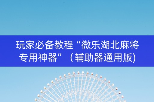 玩家必备教程“微乐湖北麻将专用神器”（辅助器通用版)