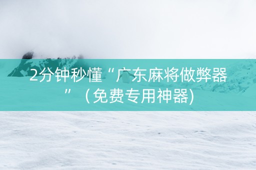 2分钟秒懂“广东麻将做弊器”（免费专用神器)