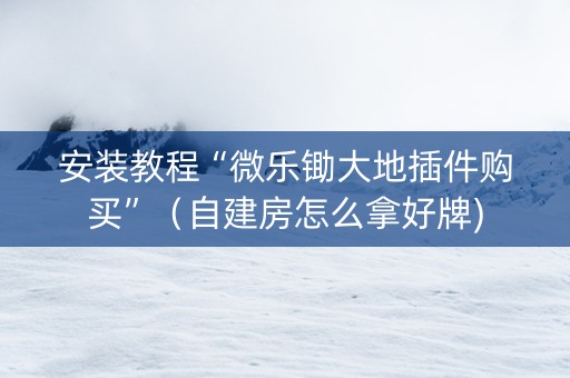 安装教程“微乐锄大地插件购买”（自建房怎么拿好牌)