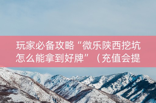 玩家必备攻略“微乐陕西挖坑怎么能拿到好牌”（充值会提高胜率么)