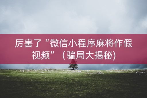 厉害了“微信小程序麻将作假视频”（骗局大揭秘)