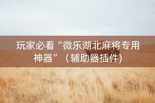 玩家必看“微乐湖北麻将专用神器”（辅助器插件)