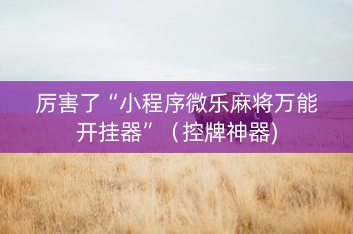 厉害了“小程序微乐麻将万能开挂器”（控牌神器)
