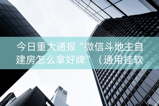 今日重大通报“微信斗地主自建房怎么拿好牌”（通用挂软件多少钱)