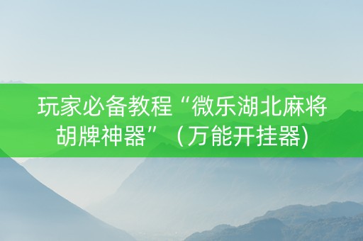 玩家必备教程“微乐湖北麻将胡牌神器”（万能开挂器)