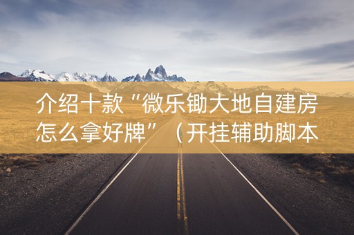 介绍十款“微乐锄大地自建房怎么拿好牌”（开挂辅助脚本)