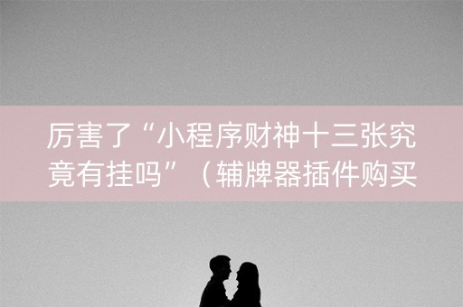 厉害了“小程序财神十三张究竟有挂吗”（辅牌器插件购买)