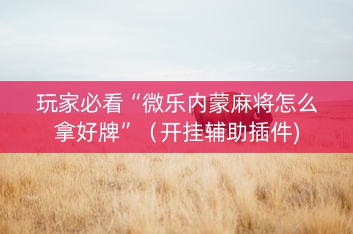 玩家必看“微乐内蒙麻将怎么拿好牌”（开挂辅助插件)