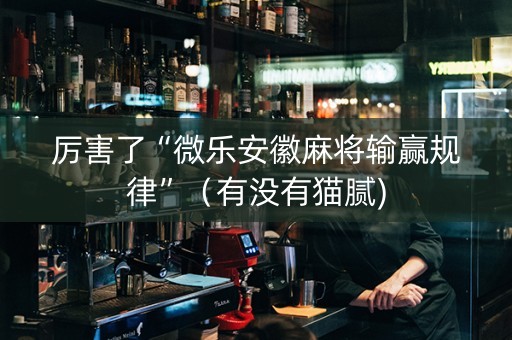 厉害了“微乐安徽麻将输赢规律”（有没有猫腻)