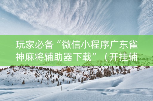 玩家必备“微信小程序广东雀神麻将辅助器下载”（开挂辅助器脚本)