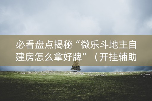 必看盘点揭秘“微乐斗地主自建房怎么拿好牌”（开挂辅助器脚本)
