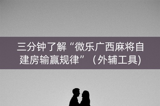 三分钟了解“微乐广西麻将自建房输赢规律”（外辅工具)