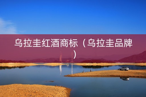 乌拉圭红酒商标（乌拉圭品牌）