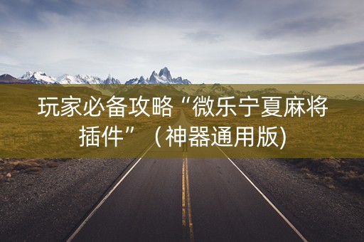 玩家必备攻略“微乐宁夏麻将插件”（神器通用版)