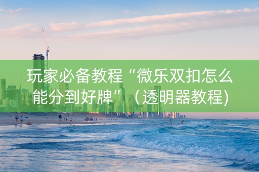 玩家必备教程“微乐双扣怎么能分到好牌”（透明器教程)