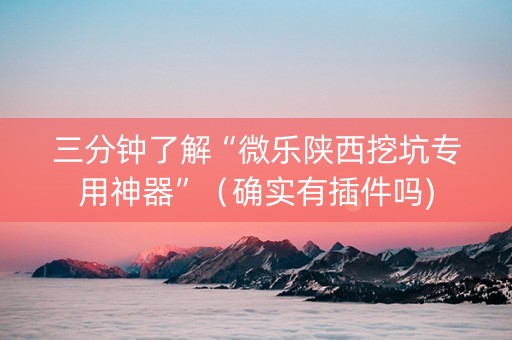 三分钟了解“微乐陕西挖坑专用神器”（确实有插件吗)