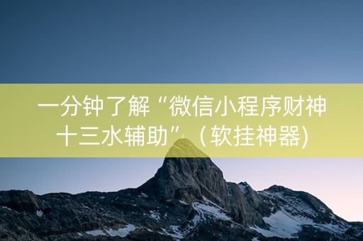 一分钟了解“微信小程序财神十三水辅助”（软挂神器)