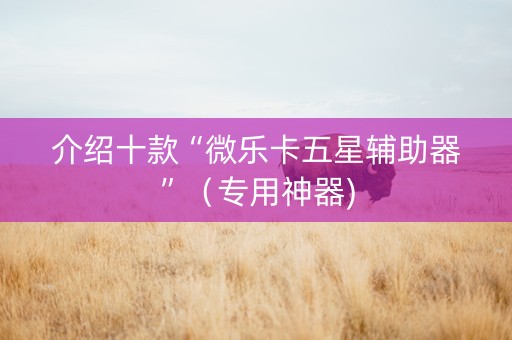 介绍十款“微乐卡五星辅助器”（专用神器)