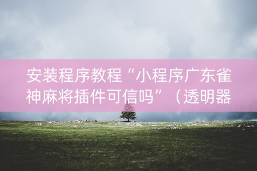 安装程序教程“小程序广东雀神麻将插件可信吗”（透明器教程)