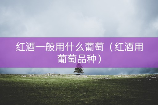 红酒一般用什么葡萄（红酒用葡萄品种）