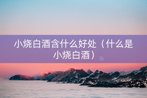 小烧白酒含什么好处（什么是小烧白酒）