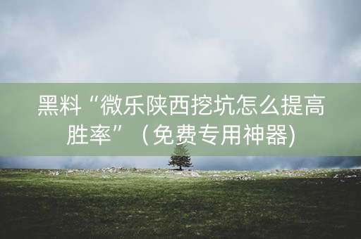 黑料“微乐陕西挖坑怎么提高胜率”（免费专用神器)
