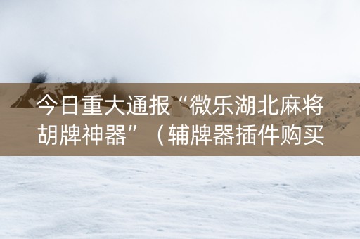今日重大通报“微乐湖北麻将胡牌神器”（辅牌器插件购买)