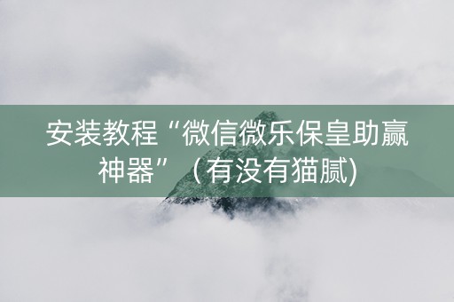 安装教程“微信微乐保皇助赢神器”（有没有猫腻)