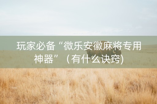 玩家必备“微乐安徽麻将专用神器”（有什么诀窍)