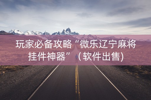 玩家必备攻略“微乐辽宁麻将挂件神器”（软件出售)
