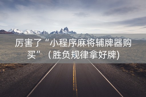 厉害了“小程序麻将辅牌器购买”（胜负规律拿好牌)