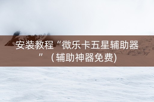 安装教程“微乐卡五星辅助器”（辅助神器免费)