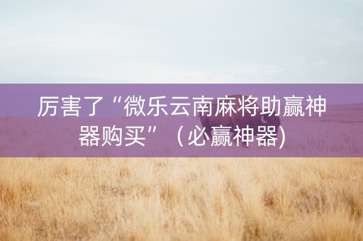 厉害了“微乐云南麻将助赢神器购买”（必赢神器)
